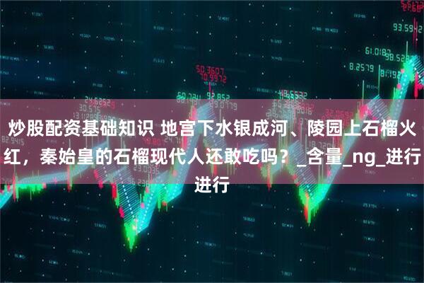 炒股配资基础知识 地宫下水银成河、陵园上石榴火红，秦始皇的石榴现代人还敢吃吗？_含量_ng_进行
