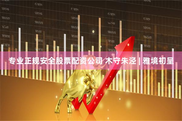 专业正规安全股票配资公司 木守朱泾 | 雅境初呈